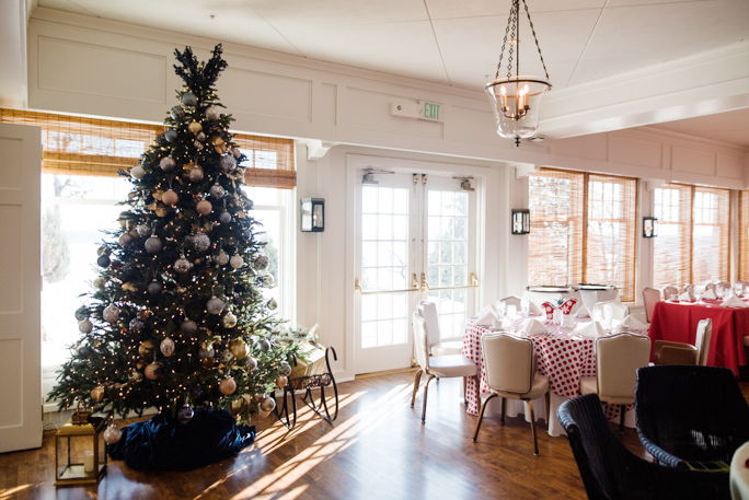 Room with a decorated Christmas tree