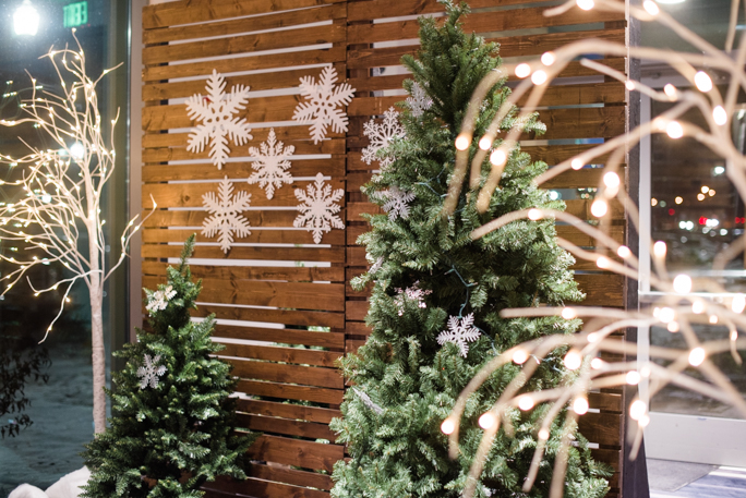 Christmas tress next to a wooden backdrop