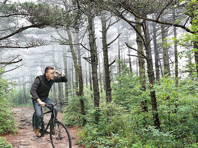Full body green screen photo of a guest riding a bike down a misty forest trail