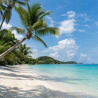 Green screen photo booth background option: tropical beach